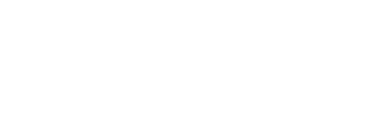 iDeepX